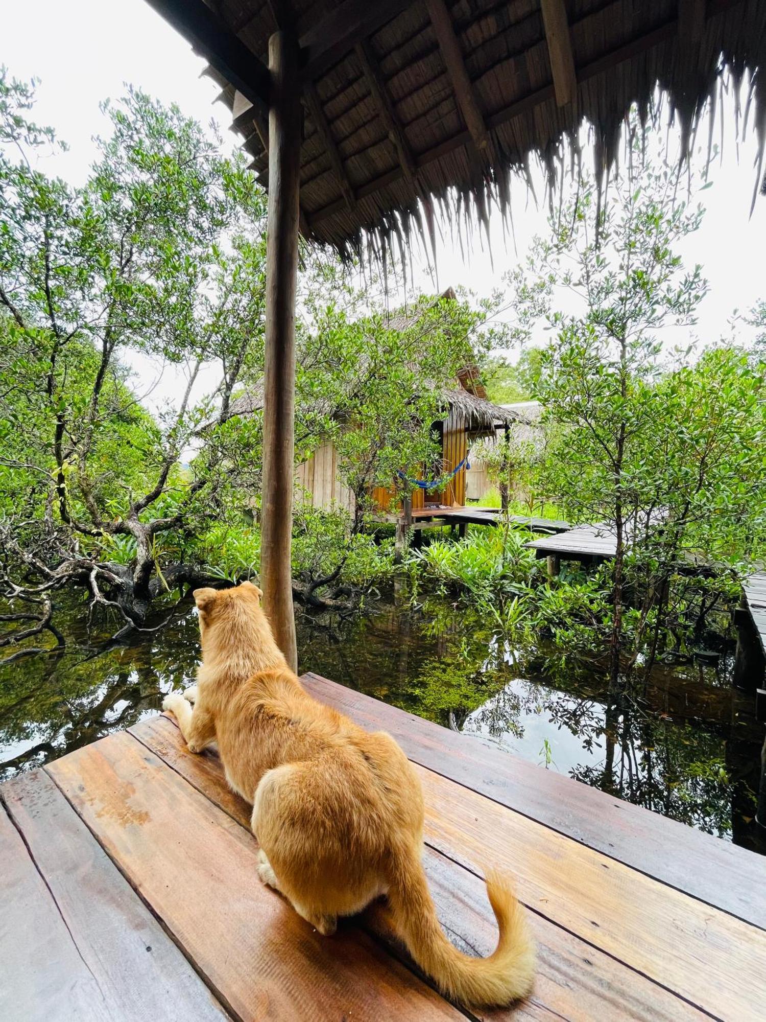 Lily'S Riverhouse Prek Svay Village Екстер'єр фото