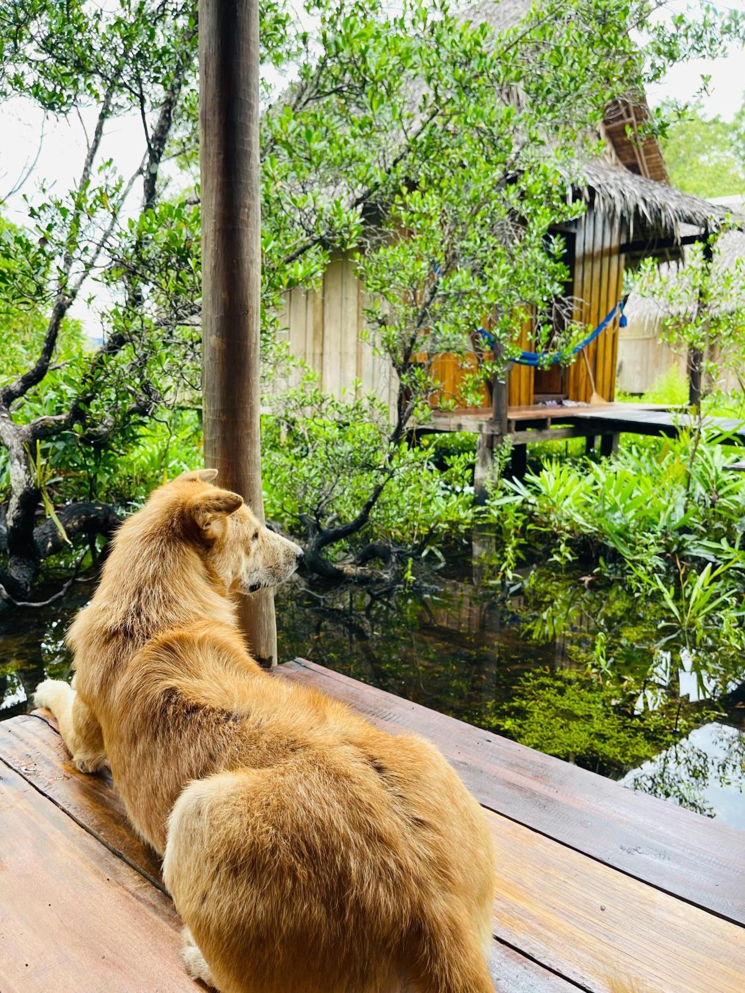 Lily'S Riverhouse Prek Svay Village Екстер'єр фото